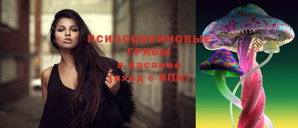jwh Белокуриха