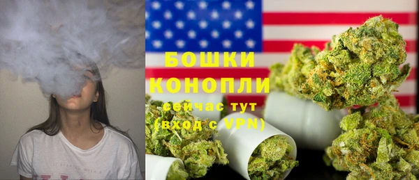 spice Богородск