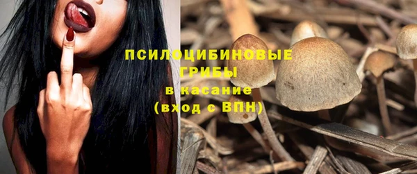 jwh Белокуриха