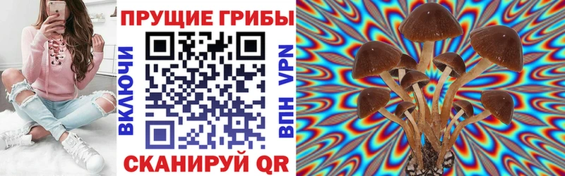 Галлюциногенные грибы Cubensis  где купить наркотик  Балей 