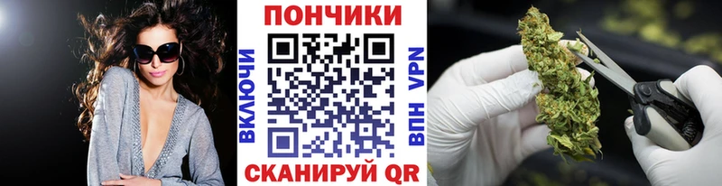 Шишки марихуана планчик закладка Балей
